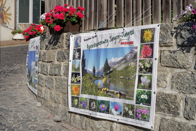 Werbung für den Alpenblumenweg im Jungtal, welchen wir schon bald unter die Füsse nehmen werden